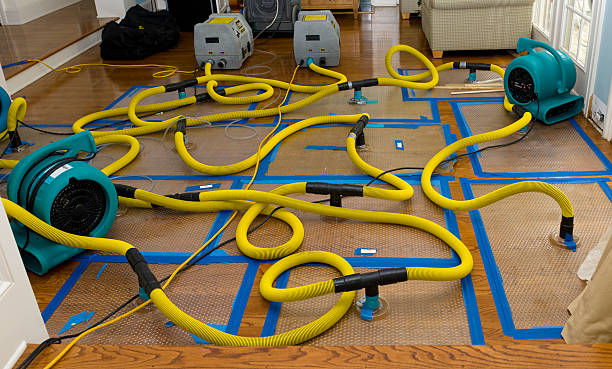 Professional Sewage Cleanup technician working in Egypt, TX